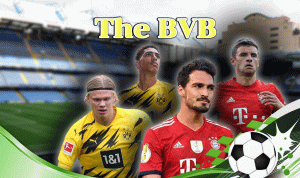 The BVB